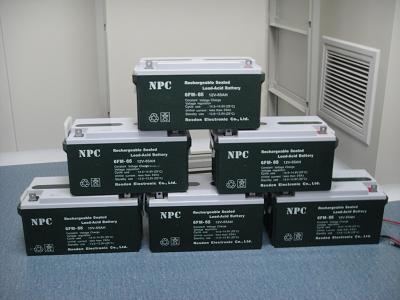 NPC蓄电池6FM-100